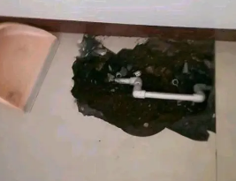抚顺卫生间测漏水多少钱